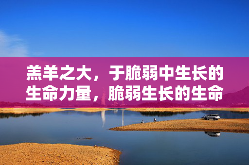 羔羊之大,于脆弱中生长的生命力量,脆弱生长的生命力量 羔羊之大,于脆弱中生长的生命力量,脆弱生长的生命力量