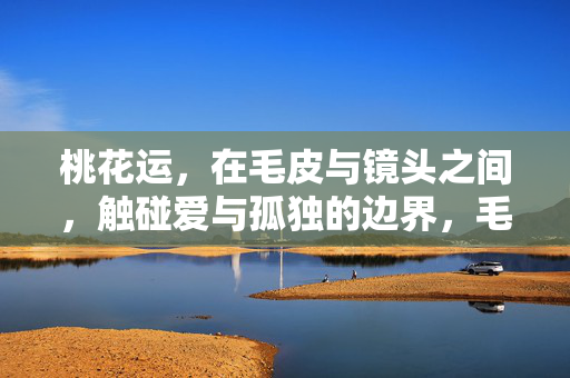 桃花运,在毛皮与镜头之间,触碰爱与孤独的边界,毛皮镜头间,桃花运触碰爱与孤独的边界 桃花运,在毛皮与镜头之间,触碰爱与孤独的边界,毛皮镜头间,桃花运触碰爱与孤独的边界