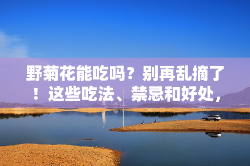 野菊花能吃吗？别再乱摘了！这些吃法、禁忌和好处，早该知道，野菊花能吃吗？吃法、禁忌与好处，别再乱摘！