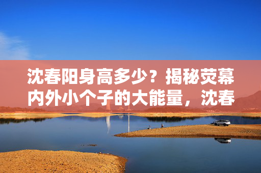 沈春阳身高多少?揭秘荧幕内外小个子的大能量,沈春阳身高揭秘,小个子的大能量 沈春阳身高多少?揭秘荧幕内外小个子的大能量,沈春阳身高揭秘,小个子的大能量