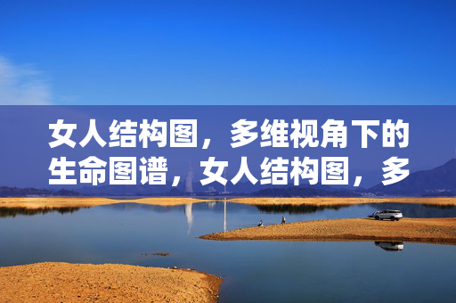 女人结构图,多维视角下的生命图谱,女人结构图,多维生命图谱 女人结构图,多维视角下的生命图谱,女人结构图,多维生命图谱