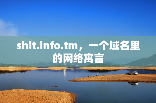 shit.info.tm，一个域名里的网络寓言