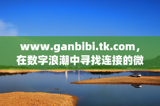 www.ganbibi.tk.com，在数字浪潮中寻找连接的微光