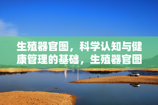生殖器官图,科学认知与健康管理的基础,生殖器官图,科学认知与健康管理的基石 生殖器官图,科学认知与健康管理的基础,生殖器官图,科学认知与健康管理的基石