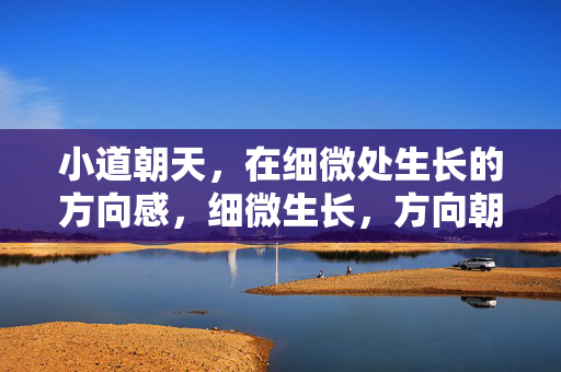 小道朝天,在细微处生长的方向感,细微生长,方向朝天 小道朝天,在细微处生长的方向感,细微生长,方向朝天