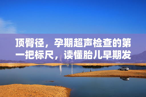 顶臀径,孕期超声检查的第一把标尺,读懂胎儿早期发育的密码,顶臀径,孕期超声第一标尺,解锁胎儿早期发育密码 顶臀径,孕期超声检查的第一把标尺,读懂胎儿早期发育的密码,顶臀径,孕期超声第一标尺,解锁胎儿早期发育密码
