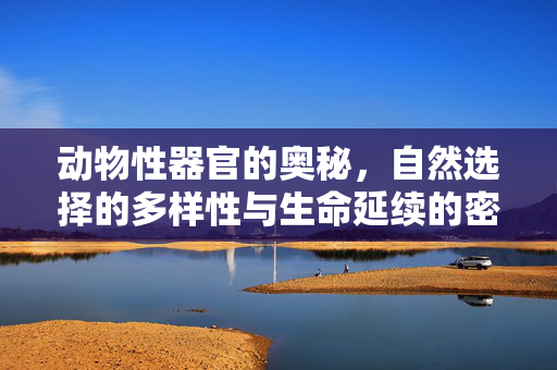 动物性器官的奥秘,自然选择的多样性与生命延续的密码,动物性器官,自然选择多样性与生命延续密码 动物性器官的奥秘,自然选择的多样性与生命延续的密码,动物性器官,自然选择多样性与生命延续密码