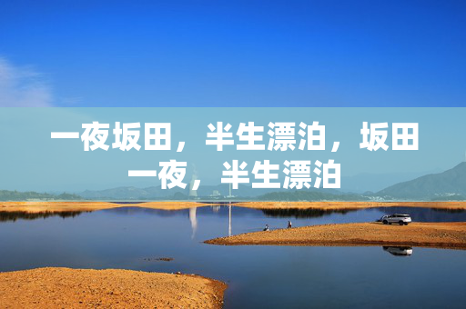 一夜坂田,半生漂泊,坂田一夜,半生漂泊 一夜坂田,半生漂泊,坂田一夜,半生漂泊