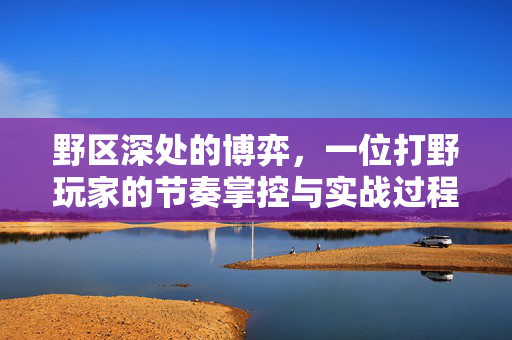 野区深处的博弈，一位打野玩家的节奏掌控与实战过程，野区博弈，打野节奏掌控与实战