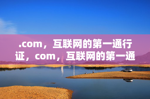 .com，互联网的第一通行证，com，互联网的第一通行证