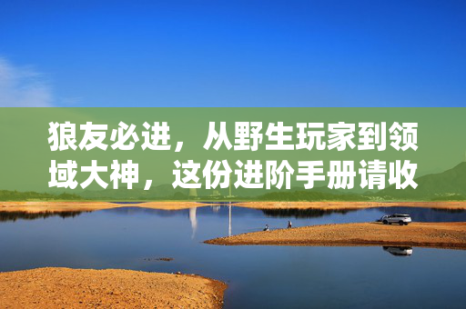 狼友必进，从野生玩家到领域大神，这份进阶手册请收好，狼友进阶手册，从野生玩家到领域大神