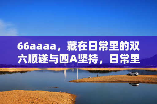 66aaaa，藏在日常里的双六顺遂与四A坚持，日常里的双六顺遂与四A坚持