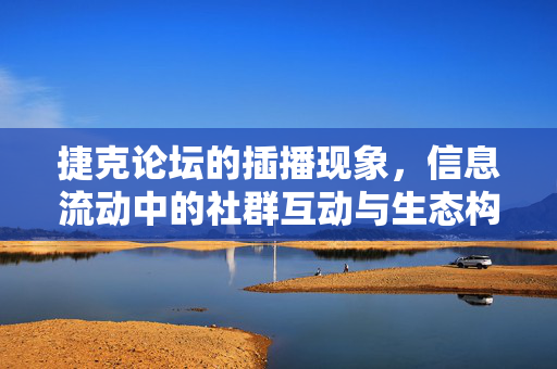 捷克论坛的插播现象，信息流动中的社群互动与生态构建，捷克论坛插播现象，信息流动与社群互动的生态构建