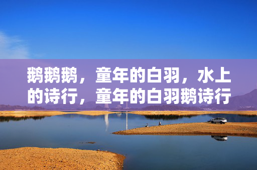 鹅鹅鹅,童年的白羽,水上的诗行,童年的白羽鹅诗行 鹅鹅鹅,童年的白羽,水上的诗行,童年的白羽鹅诗行