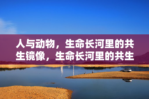 人与动物，生命长河里的共生镜像，生命长河里的共生镜像