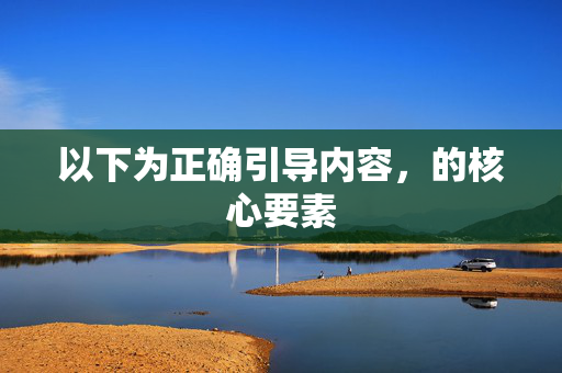 以下为正确引导内容，的核心要素