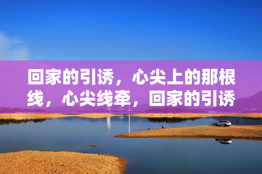 回家的引诱，心尖上的那根线，心尖线牵，回家的引诱