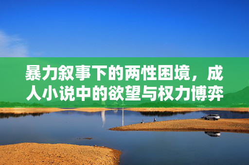 暴力叙事下的两性困境,成人小说中的欲望与权力博弈 暴力叙事下的两性困境,成人小说中的欲望与权力博弈