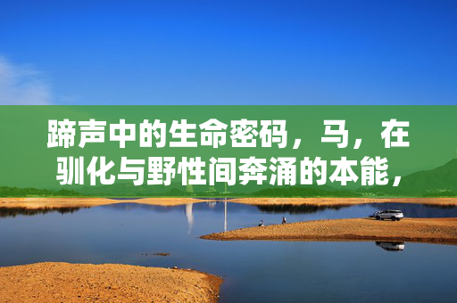 蹄声中的生命密码，马，在驯化与野性间奔涌的本能，蹄声中的驯化与野性，马奔涌的生命密码