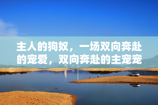主人的狗奴,一场双向奔赴的宠爱,双向奔赴的主宠宠爱 主人的狗奴,一场双向奔赴的宠爱,双向奔赴的主宠宠爱