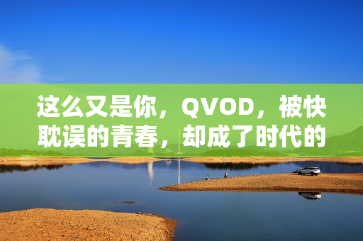 这么又是你，QVOD，被快耽误的青春，却成了时代的眼泪，QVOD，被快耽误的青春，时代的眼泪