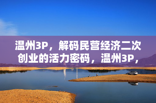 温州3P，解码民营经济二次创业的活力密码，温州3P，解码民营经济二次创业的活力密码