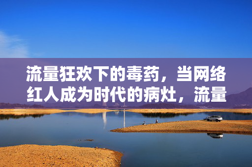 流量狂欢下的毒药,当网络红人成为时代的病灶,流量狂欢下的毒药,网络红人成时代病灶 流量狂欢下的毒药,当网络红人成为时代的病灶,流量狂欢下的毒药,网络红人成时代病灶