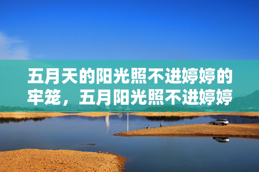 五月天的阳光照不进婷婷的牢笼，五月阳光照不进婷婷的牢笼