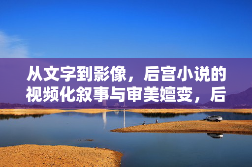 从文字到影像，后宫小说的视频化叙事与审美嬗变，后宫小说从文字到影像的视频化叙事与审美嬗变
