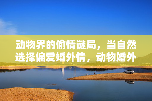 动物界的偷情谜局,当自然选择偏爱婚外情,动物婚外情,自然选择的偏爱之谜 动物界的偷情谜局,当自然选择偏爱婚外情,动物婚外情,自然选择的偏爱之谜