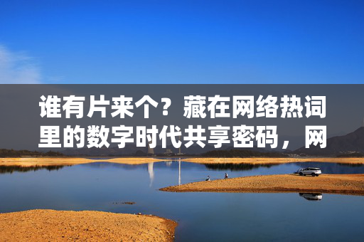 谁有片来个?藏在网络热词里的数字时代共享密码,网络热词,数字时代的共享密码 谁有片来个?藏在网络热词里的数字时代共享密码,网络热词,数字时代的共享密码