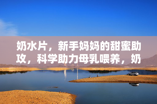奶水片，新手妈妈的甜蜜助攻，科学助力母乳喂养，奶水片，新手妈妈科学母乳喂养的甜蜜助攻