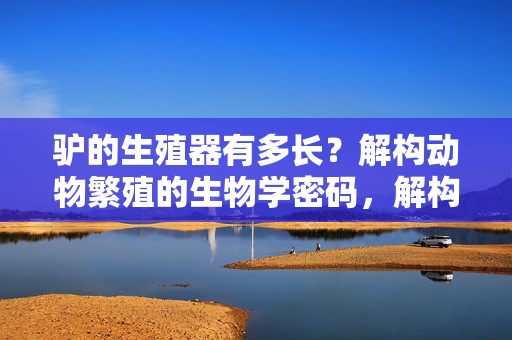 驴的生殖器有多长?解构动物繁殖的生物学密码,解构驴生殖器长度,动物繁殖的生物学密码 驴的生殖器有多长?解构动物繁殖的生物学密码,解构驴生殖器长度,动物繁殖的生物学密码