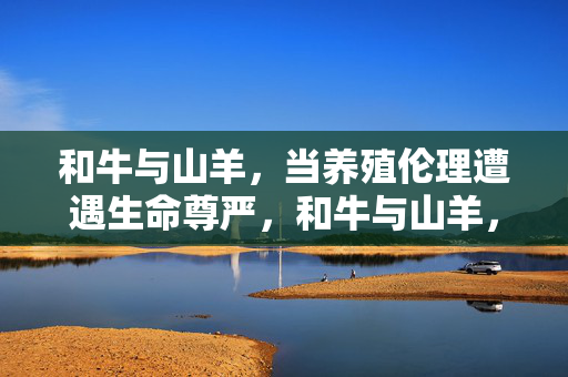 和牛与山羊,当养殖伦理遭遇生命尊严,和牛与山羊,养殖伦理遭遇生命尊严 和牛与山羊,当养殖伦理遭遇生命尊严,和牛与山羊,养殖伦理遭遇生命尊严