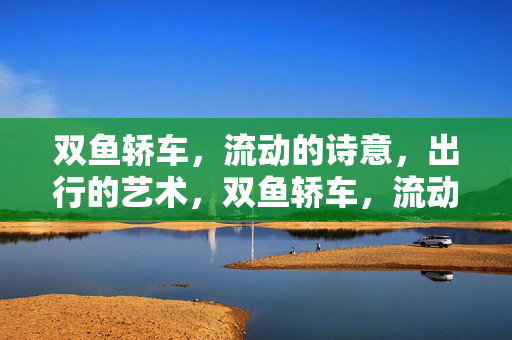 双鱼轿车，流动的诗意，出行的艺术，双鱼轿车，流动的诗意，出行的艺术