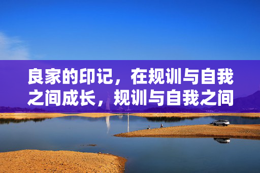 良家的印记,在规训与自我之间成长,规训与自我之间,良家的成长印记 良家的印记,在规训与自我之间成长,规训与自我之间,良家的成长印记