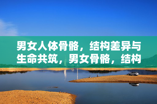 男女人体骨骼,结构差异与生命共筑,男女骨骼,结构差异与生命共筑 男女人体骨骼,结构差异与生命共筑,男女骨骼,结构差异与生命共筑