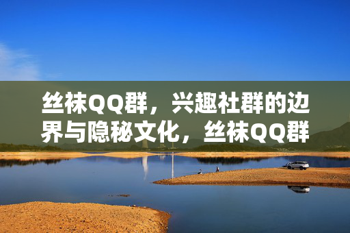 丝袜QQ群，兴趣社群的边界与隐秘文化，丝袜QQ群，兴趣社群的边界与隐秘文化