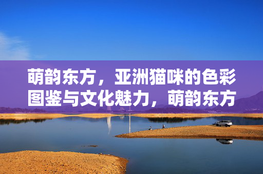 萌韵东方，亚洲猫咪的色彩图鉴与文化魅力，萌韵东方，亚洲猫咪的色彩与文化图鉴
