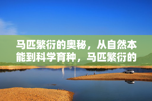 马匹繁衍的奥秘,从自然本能到科学育种,马匹繁衍的奥秘,从自然本能到科学育种 马匹繁衍的奥秘,从自然本能到科学育种,马匹繁衍的奥秘,从自然本能到科学育种