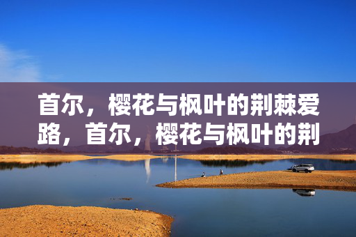 首尔,樱花与枫叶的荆棘爱路,首尔,樱花与枫叶的荆棘爱路 首尔,樱花与枫叶的荆棘爱路,首尔,樱花与枫叶的荆棘爱路