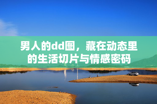 男人的dd图,藏在动态里的生活切片与情感密码 男人的dd图,藏在动态里的生活切片与情感密码