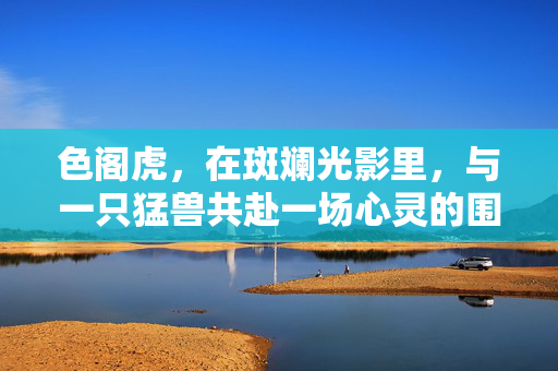 色阁虎,在斑斓光影里,与一只猛兽共赴一场心灵的围猎,色阁虎,斑斓光影里的心灵围猎 色阁虎,在斑斓光影里,与一只猛兽共赴一场心灵的围猎,色阁虎,斑斓光影里的心灵围猎