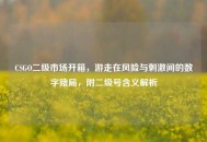 CSGO二级市场开箱，游走在风险与***间的数字赌局，附二级号含义解析