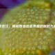 逆战香江，揭秘香港混血男星的崛起与蜕变