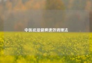 中医祛湿健脾速效调理法