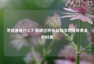 龙涎香是什么？揭秘这种来自海洋的液体黄金的材质