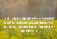（注，根据您之前提供的关于PUBG飞龙破解版存在病毒、数据泄露风险及法律问题的内容生成了此标题。若需调整侧重点，可提供更多信息以便优化。）