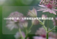 CS:GO中国力量，从草根崛起到世界舞台的征途