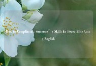 How to Compliment Someone’s Skills in Peace Elite Using English